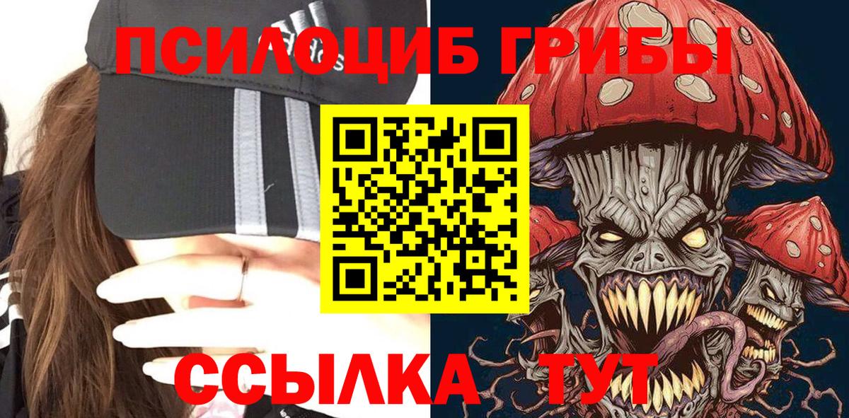 сколько стоит  Псилоцибиновые грибы мухоморы  Вход с VPN  Волгоград 