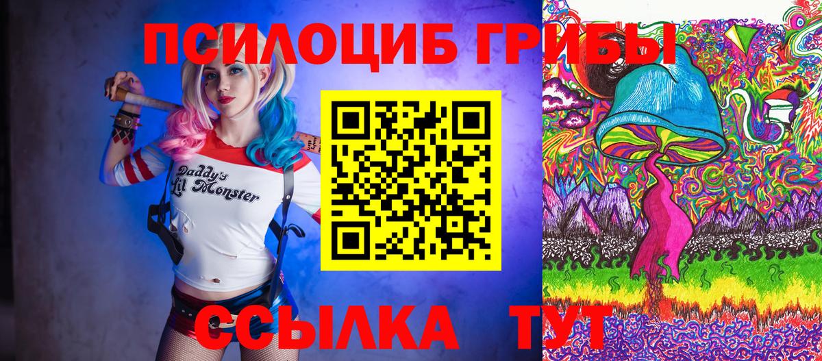 Псилоцибиновые грибы мухоморы Волгоград
